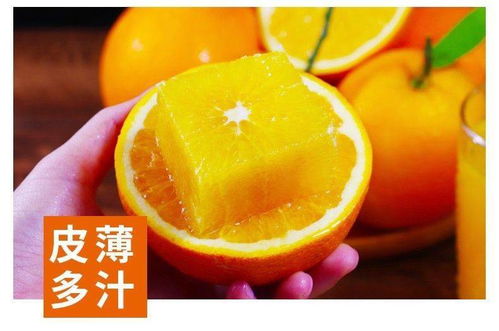 金堂脐橙3斤装新鲜水果橙子单果150克起多仓库发货