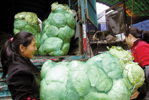 采购新鲜蔬菜保障节日供应 部分菜价将升高(图),农业资讯,中国农业网新闻频道
